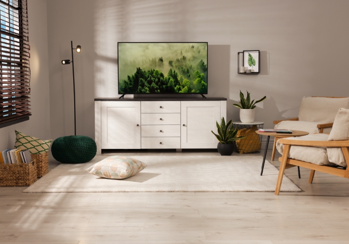 Entertainment Rooms Renovations